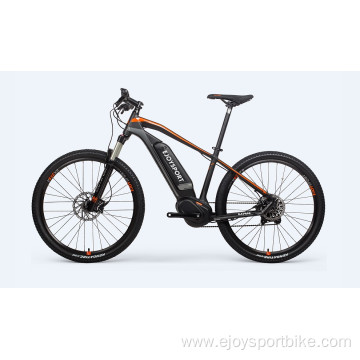 EU Warehouse Electric Bike Mountain